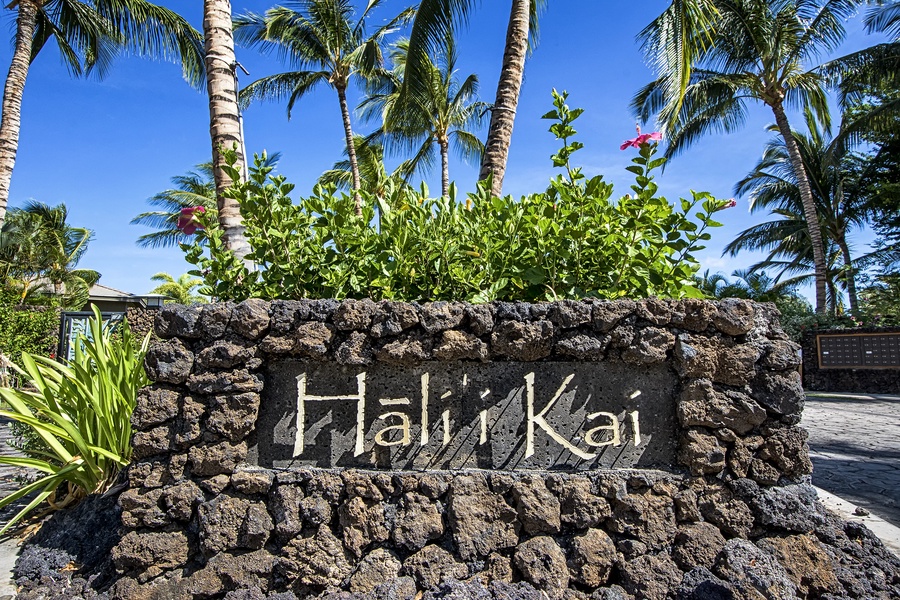 Welcome to Hali'i Kai!