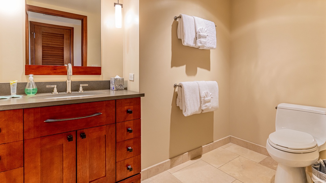 The second guest bathroom is spacious and tastefully designed.