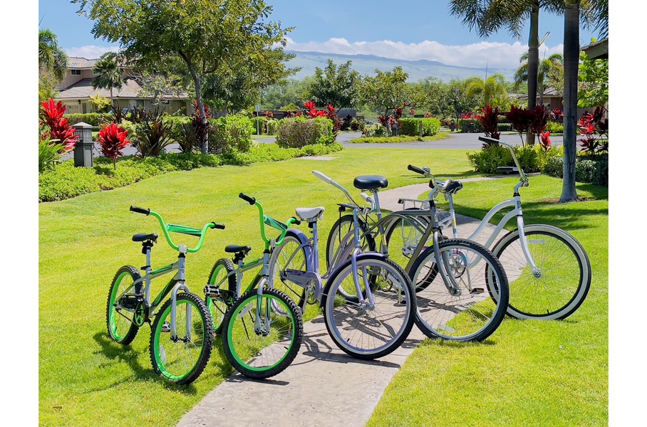 Bikes to make sure you get to explore all there is to see