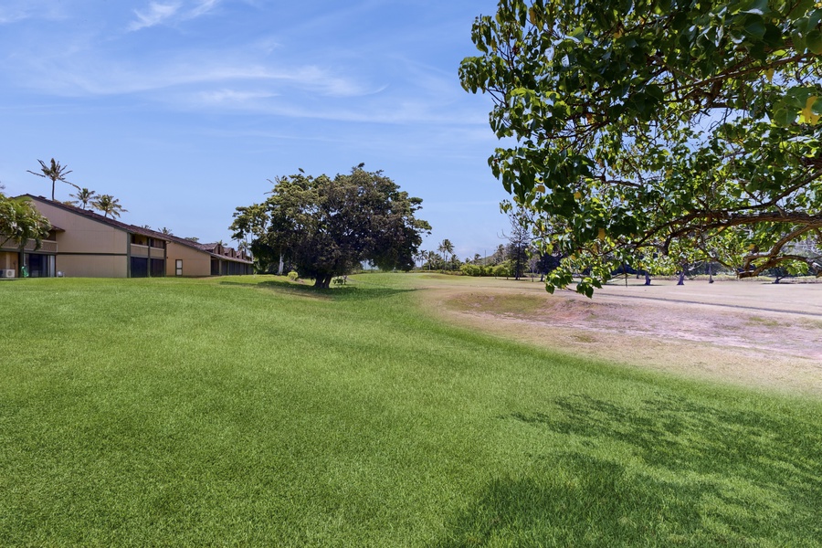 Expansive grassy area near the community grounds.