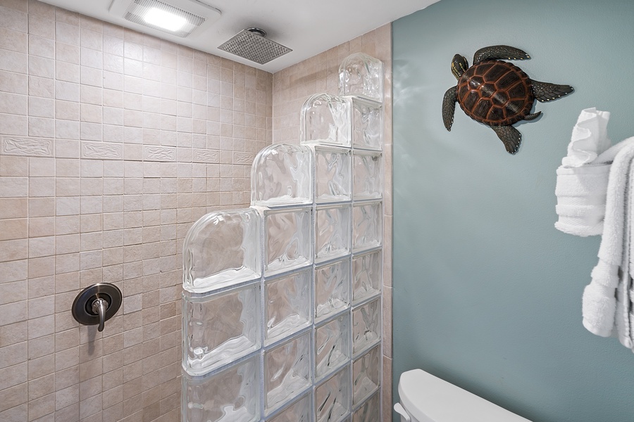 Walk in glass block shower