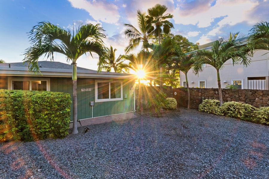 Driveway with ample off-street parking framed by swaying palms.
