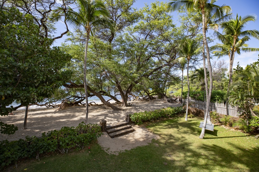 Peaceful beachfront surrounded by trees.