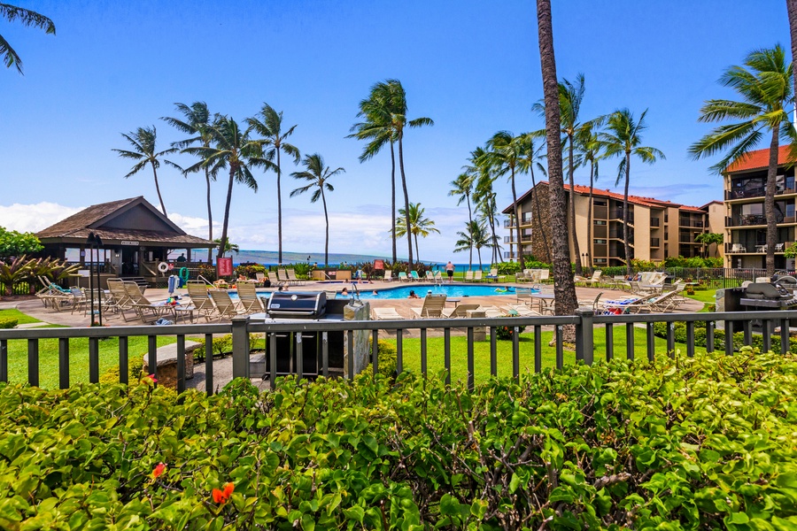 The resort pool is the perfect place to cool off, surrounded by tropical greenery and offering beautiful views of the ocean just steps away.