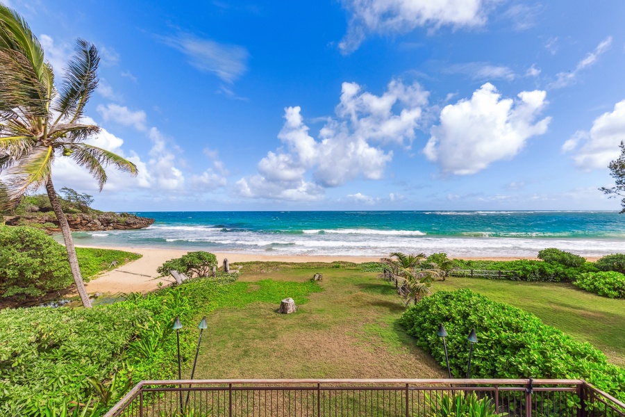 Lush green spaces and a winding path leading to the private beach.