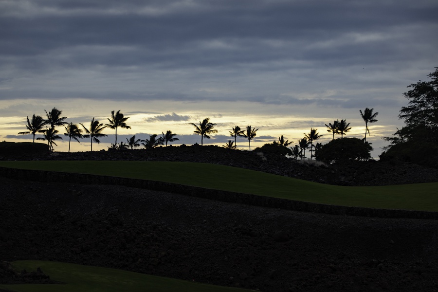 Tropical golf course with palm trees silhouetted against dramatic evening sky near the property.