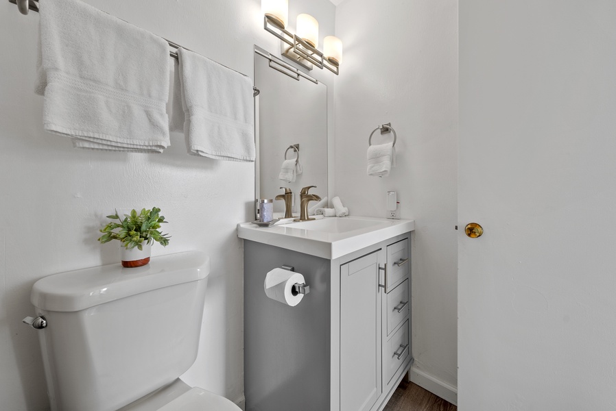 Downstairs Ensuite bathroom with main bedroom.