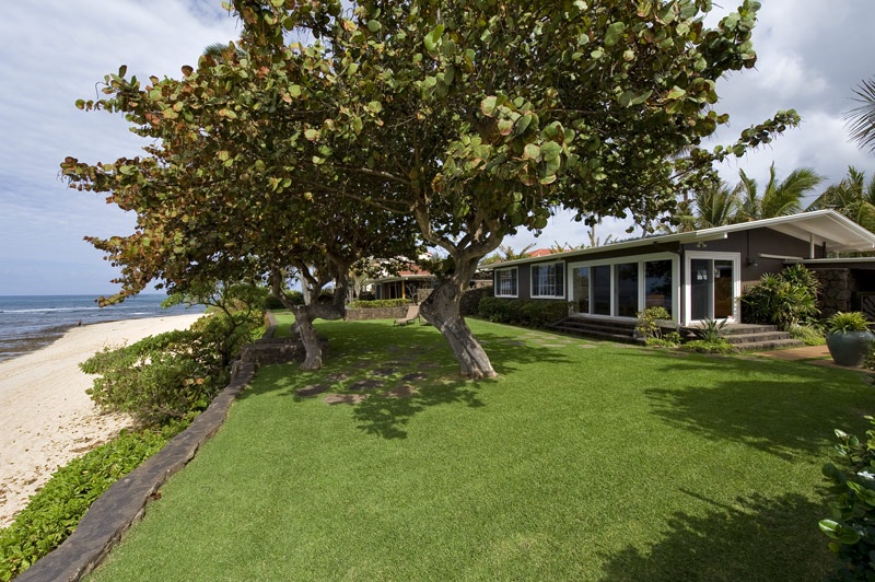 Idyllic beachfront yard with mature trees, perfect for serene outdoor living.