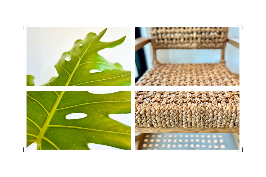 Abundant light reveals layered textures, curated furnishings, and quiet design moments.