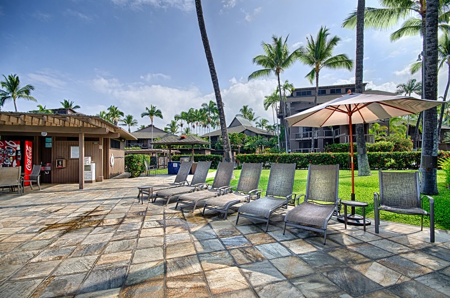 Pool area with sun beds