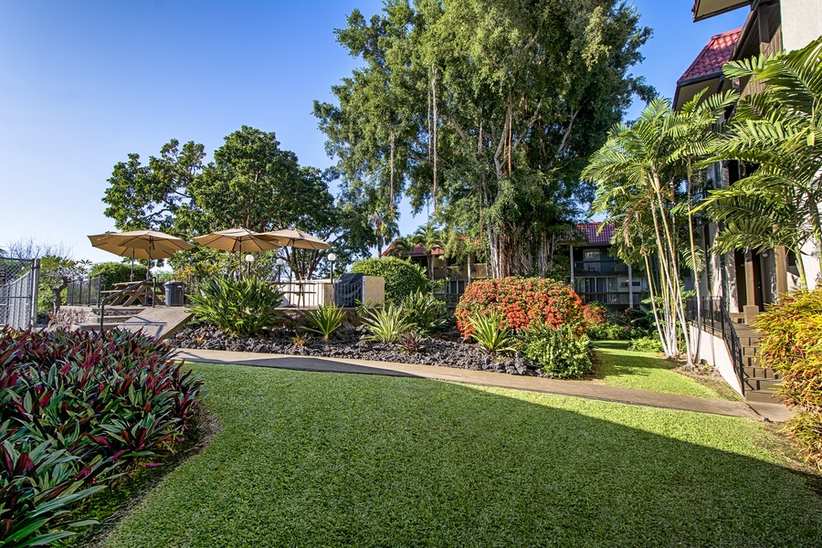 Common area surrounding the pool are a great space to walk around