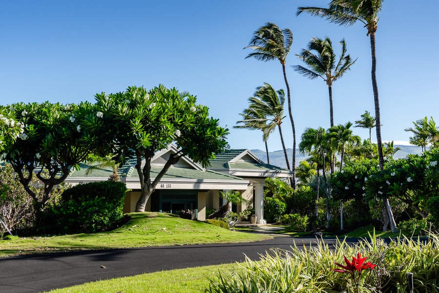 Beautiful tropical home surrounded by lush greenery and swaying palm trees.