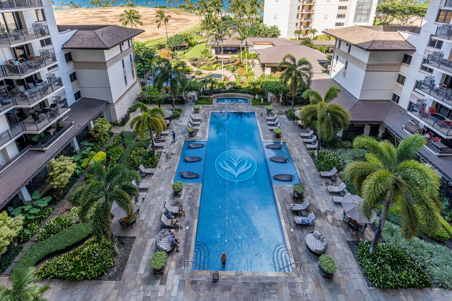 An aerial view of the lap pool at the resort.