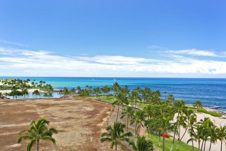 The beach and palm trees lining the resort.