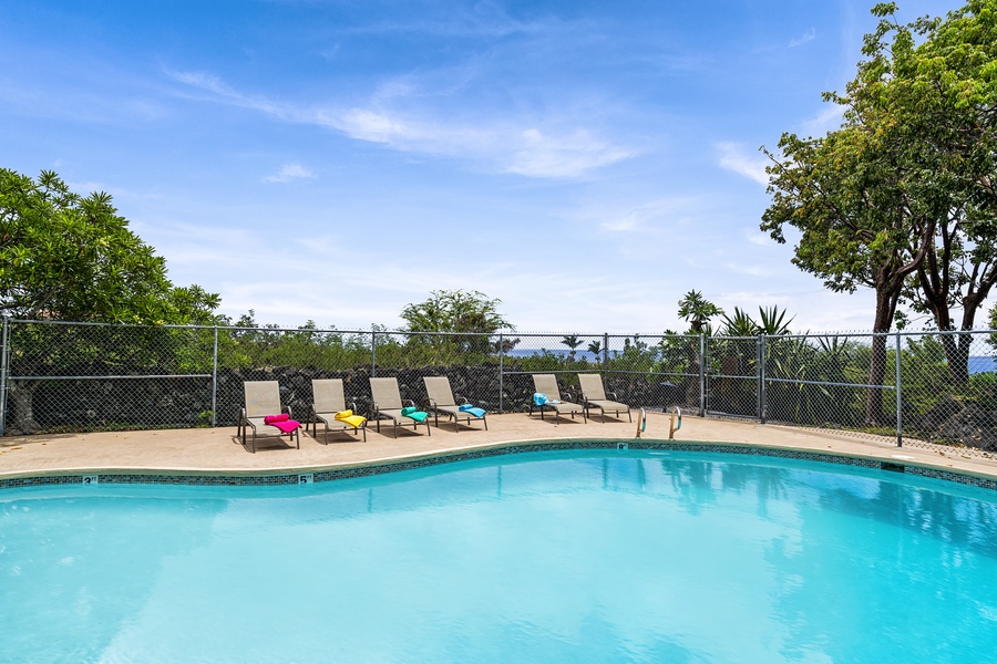 Loungers at the complex pool