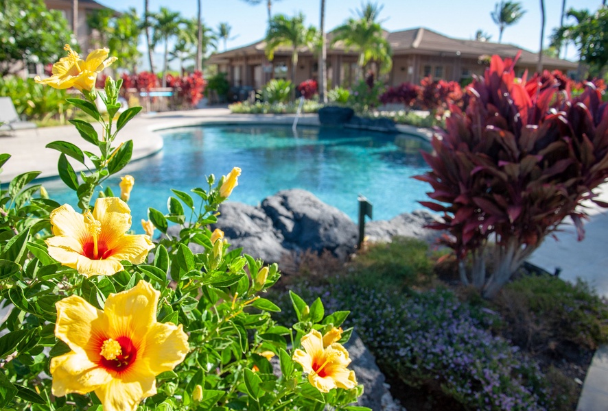 Vibrant hibiscus blossoms frame the pool area, adding a burst of tropical color to your island escape just steps from your villa.  Main Pool &