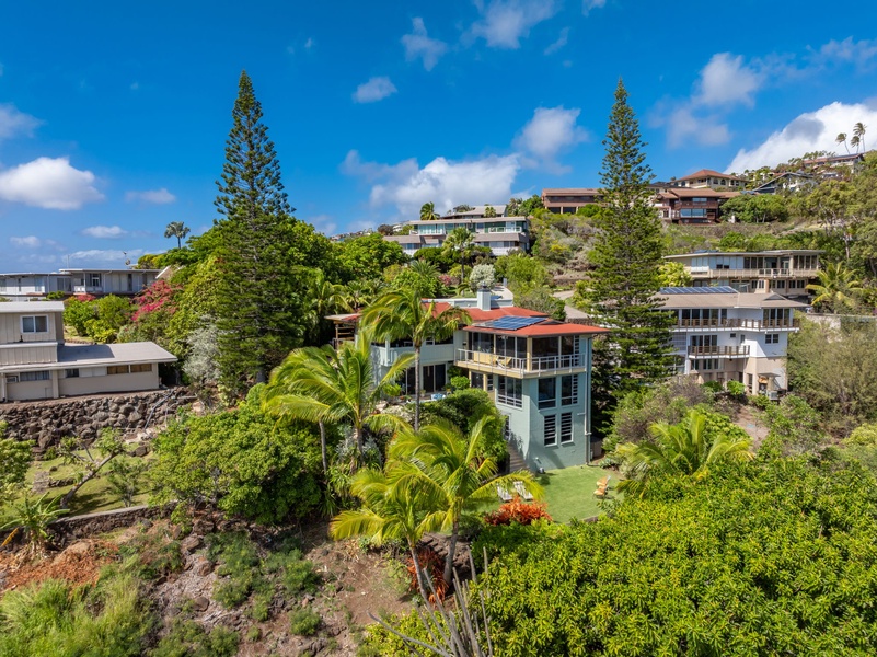 Tropical foliage wraps the estate for a private, peaceful island retreat.
