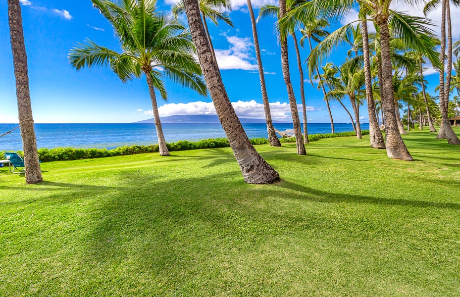 Immerse yourself in a tropical paradise with lush green lawns, swaying palm trees, and serene ocean views.