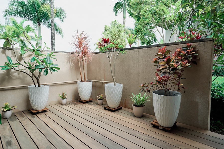 Your private deck garden retreat awaits, where tropical plants create a peaceful oasis for morning coffee or evening relaxation.