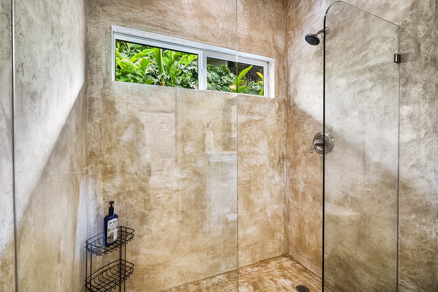 Walk-in shower in the Guest bathroom