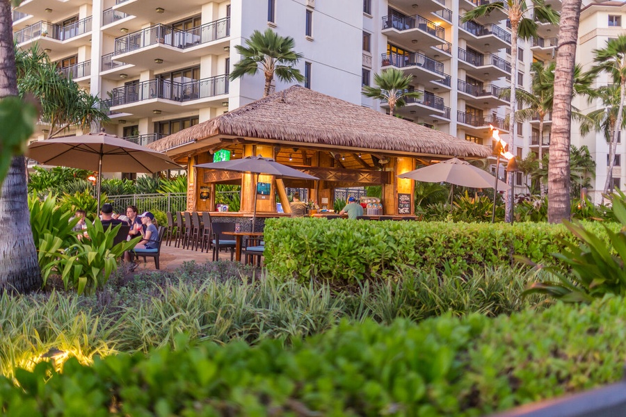 The beachside bar is surrounded by tropical landscaping, perfect for a sunset toast.