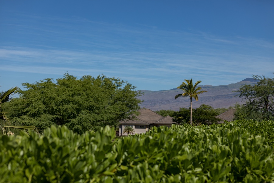 Beautiful view of Kohala Mountains from primary bedroom.