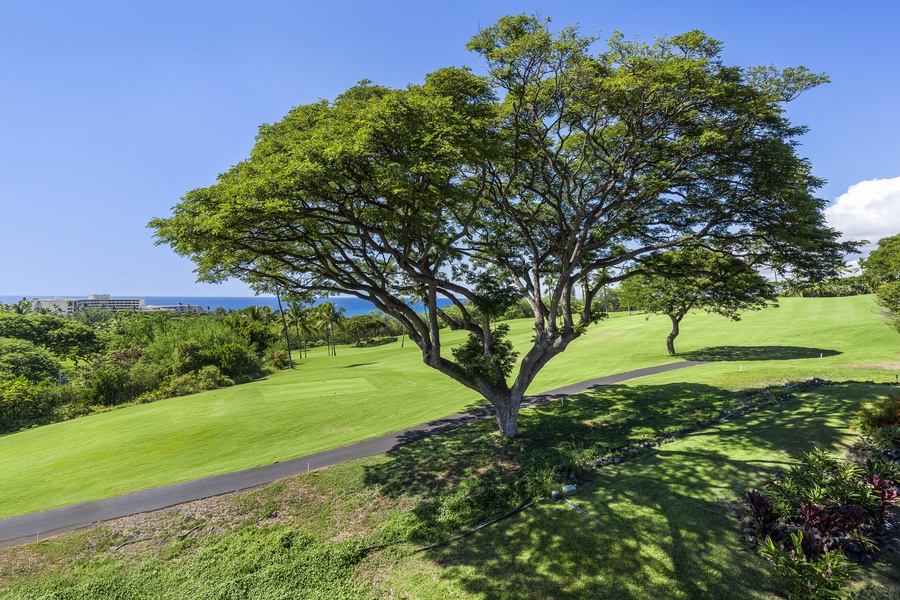 Look over the Kona Country Club golf course!