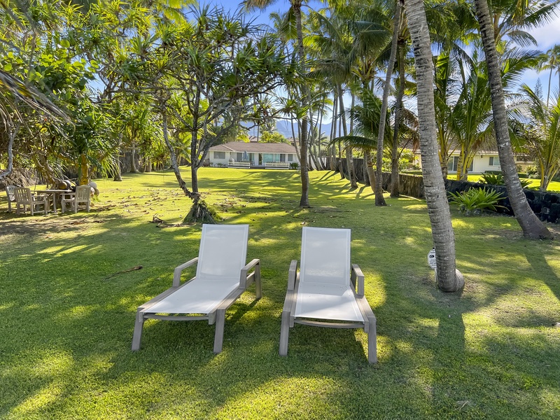 Comfortable beach chairs to enjoy the sun or the shade in your private garden