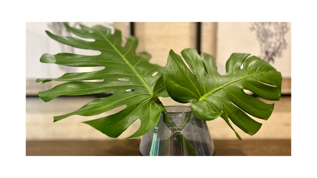 Natural plants add grounding touches for your ultimate Hawaiian retreat.