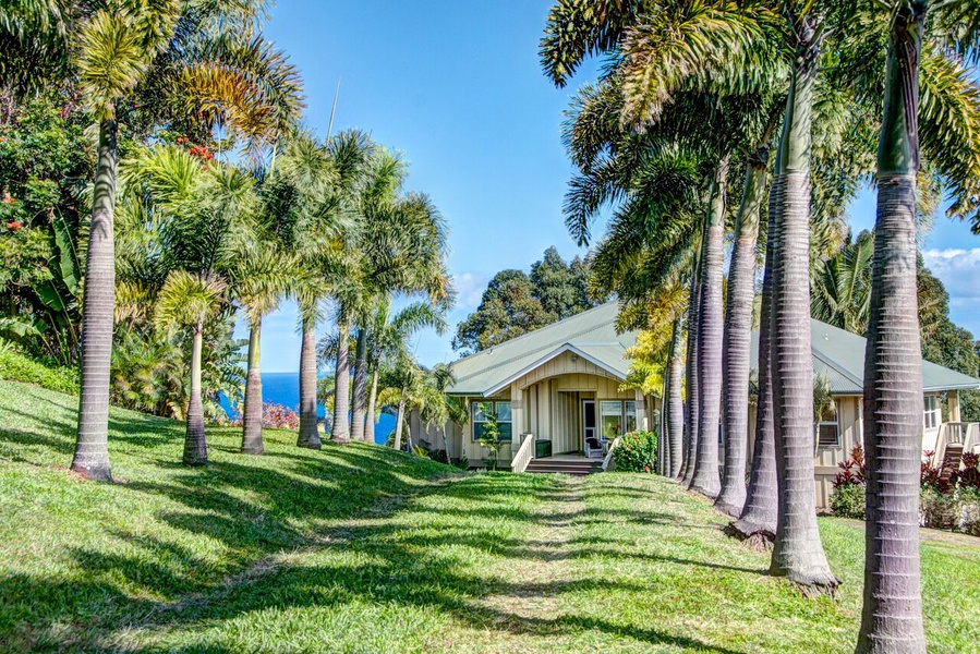 The gorgeous palm lined driveway welcomes you to your home away from home