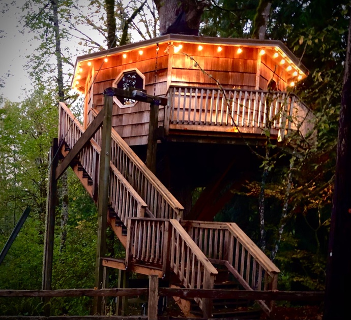 Cedar Springs Treehouse