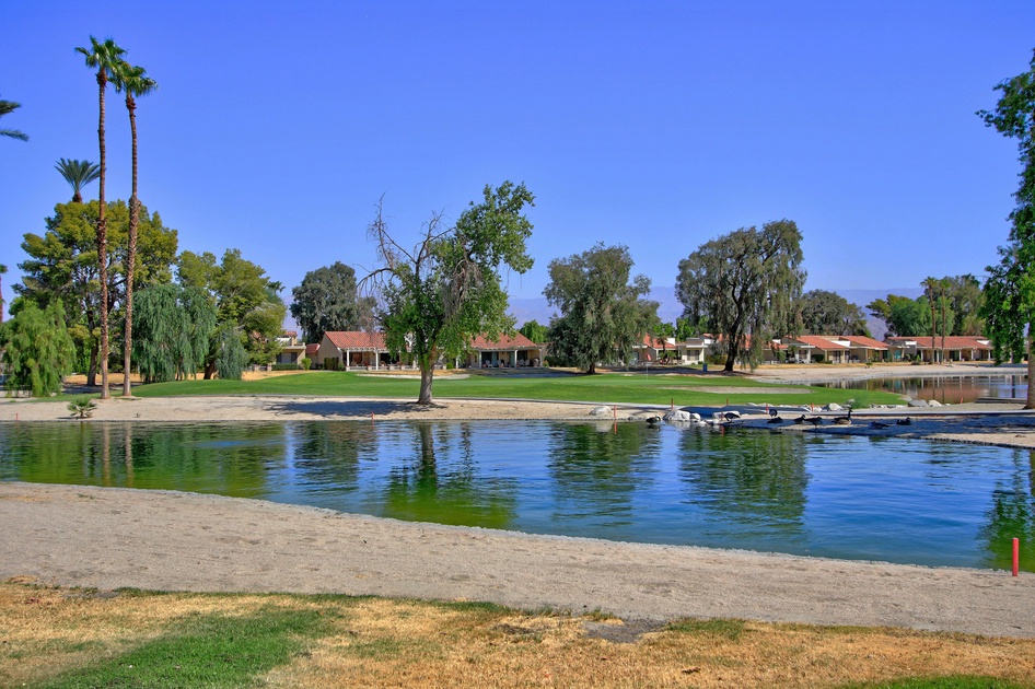 Pond