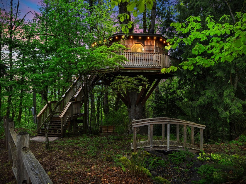 Cedar Springs Treehouse