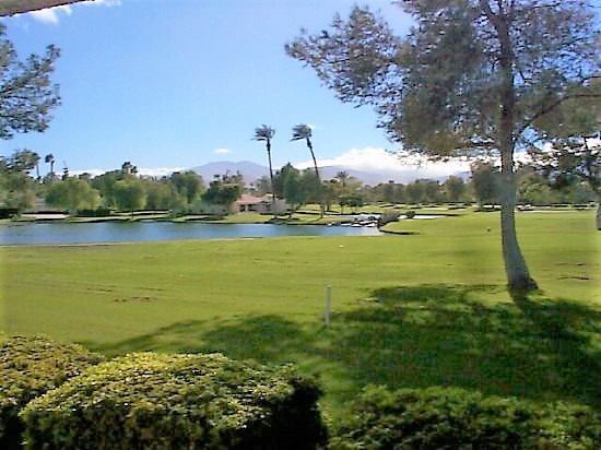 Lakeside View