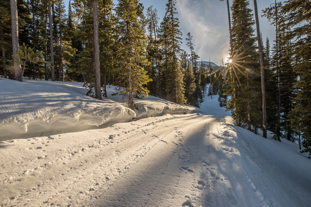 Direct Ski-in/Ski-out Access