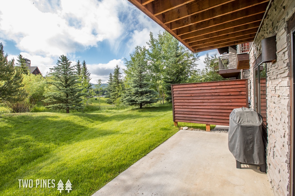 Back Patio with Grill