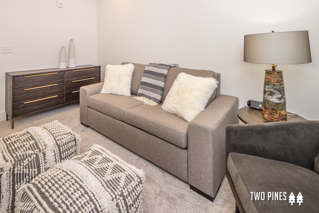 Bonus Room with Sleeper Sofa and Flat Screen TV