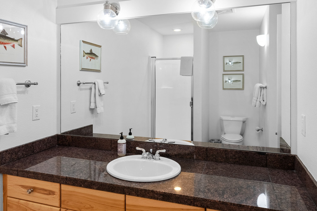 Guest Bedroom En-Suite Full Bath w. Shower