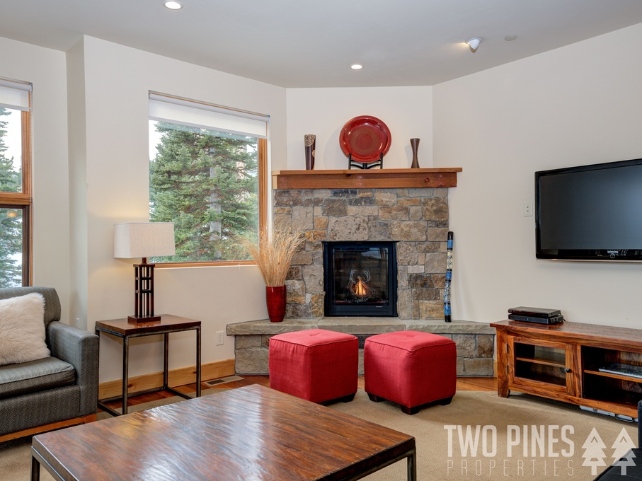 Cozy Living Area with Gas Fireplace