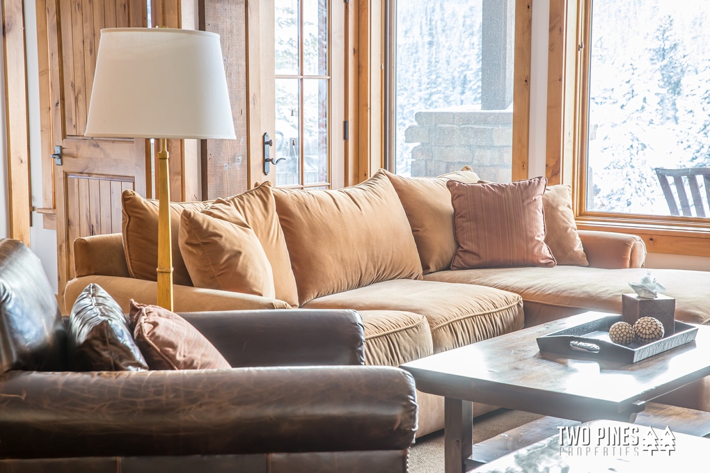 Lower Level Living Room Couches