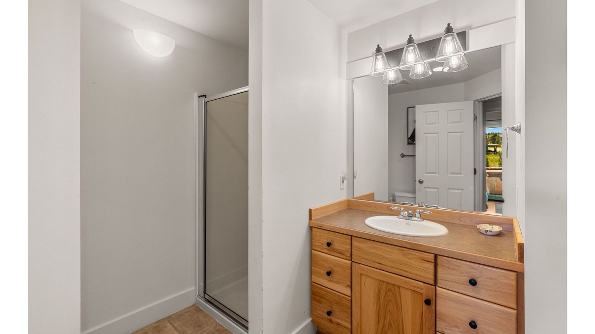 Lower Level Bathroom