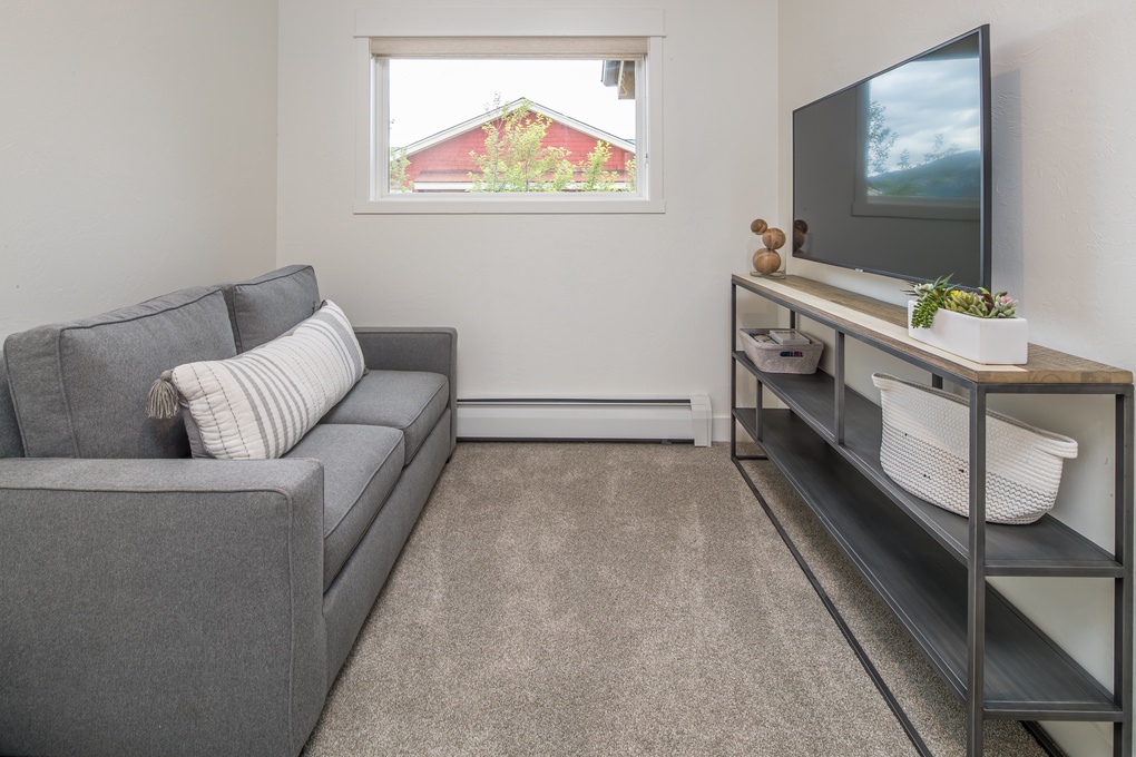 Common Area with Twin Sleeper Sofa & TV