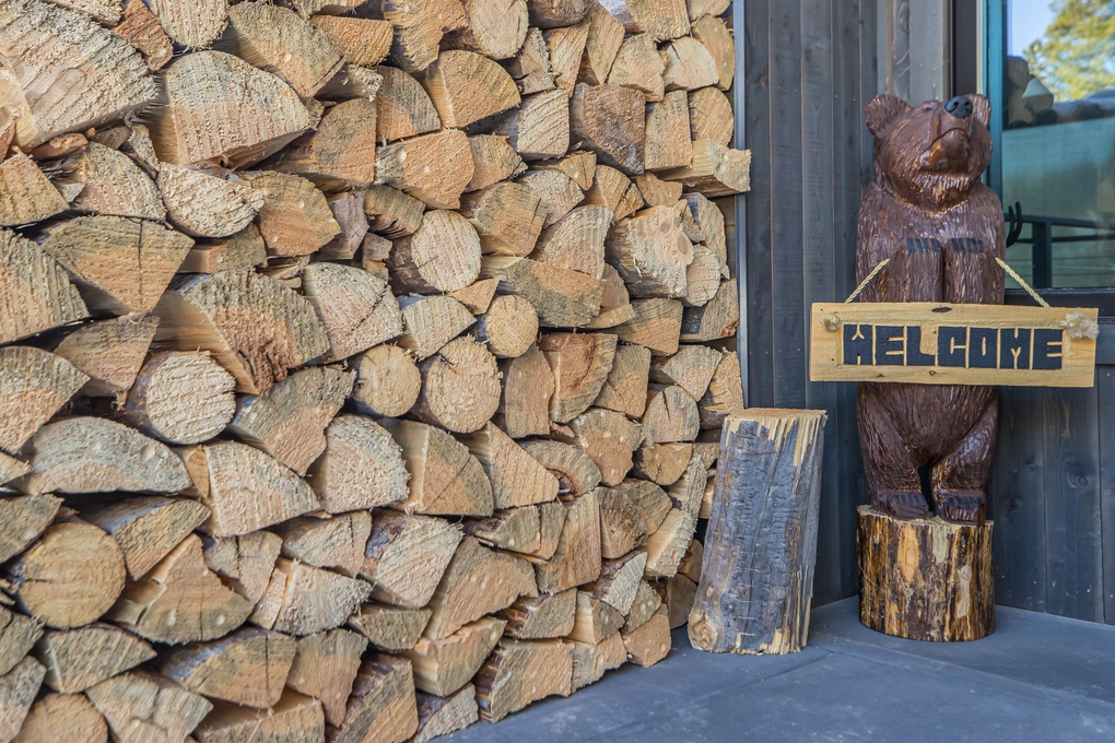 Welcome to Swift Bear