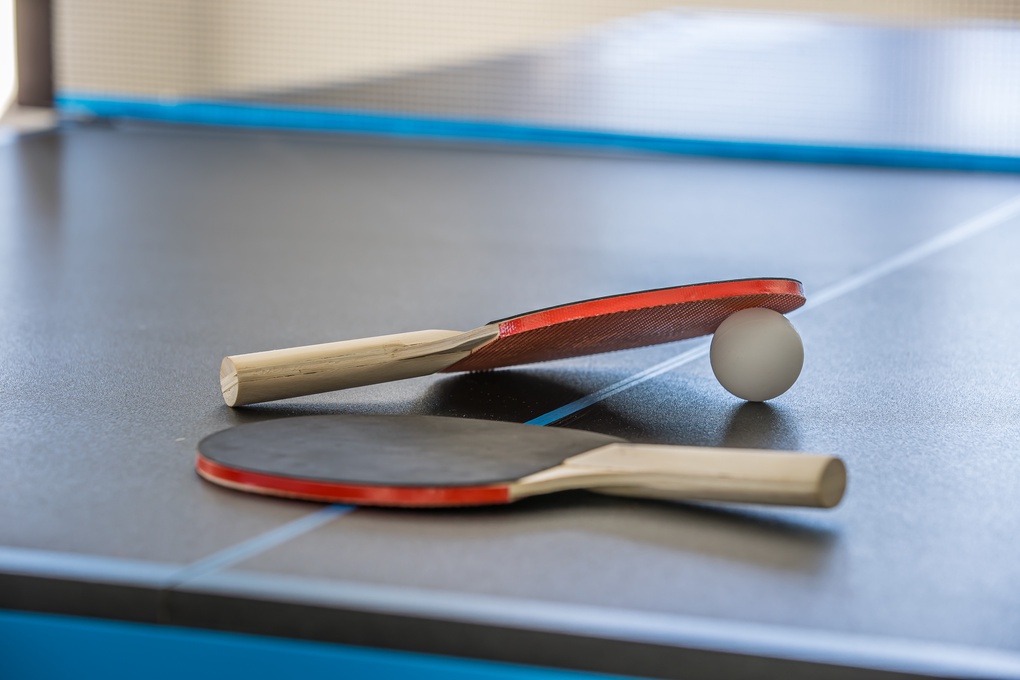 Ping Pong Table and  Paddles
