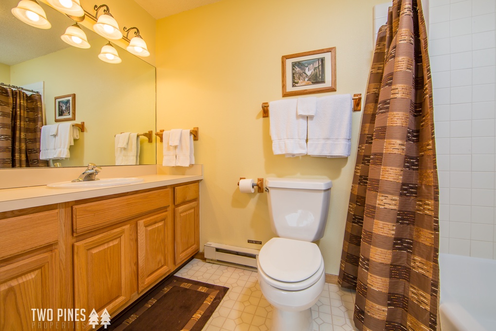 Guest Bathroom (tub/shower combo)