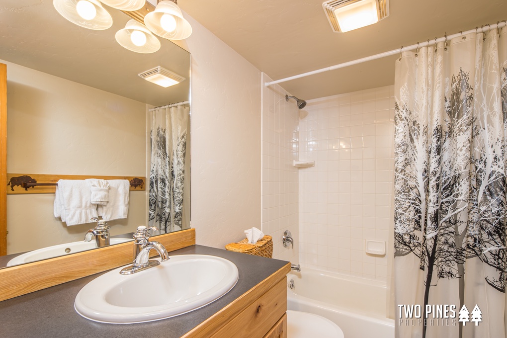 Shared Guest Bathroom with Tub/Shower Combo