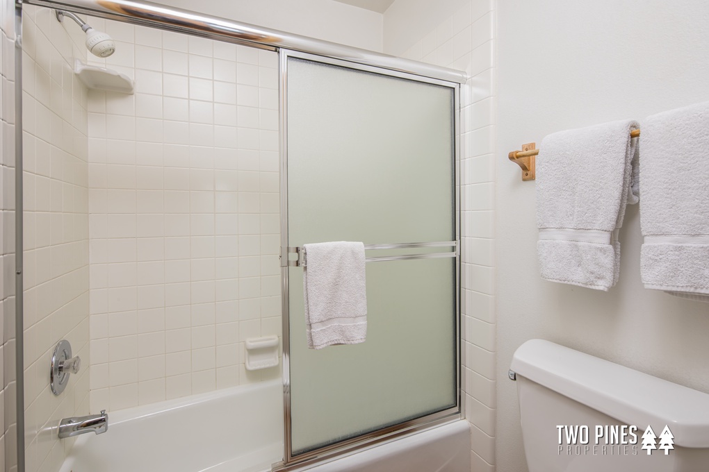 Tub/Shower Combo