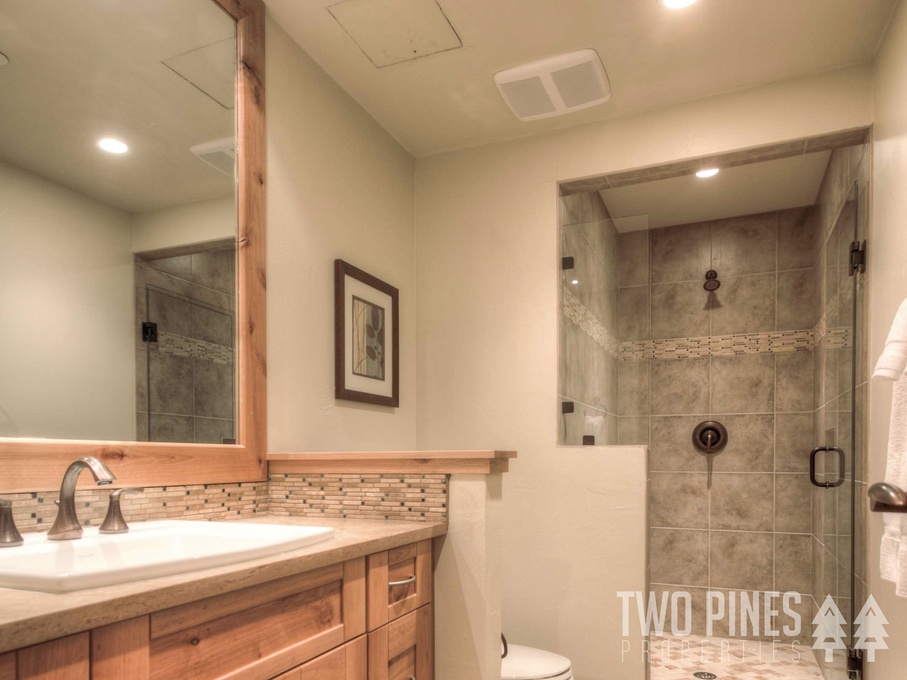 Guest Hallway Bathroom
