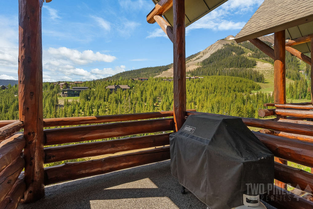 Deck Views / Propane Grill