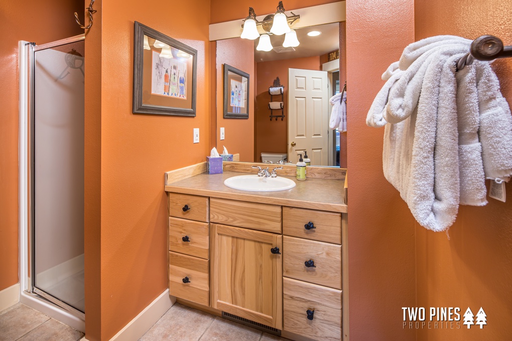 Lower Level Shared Guest Bathroom